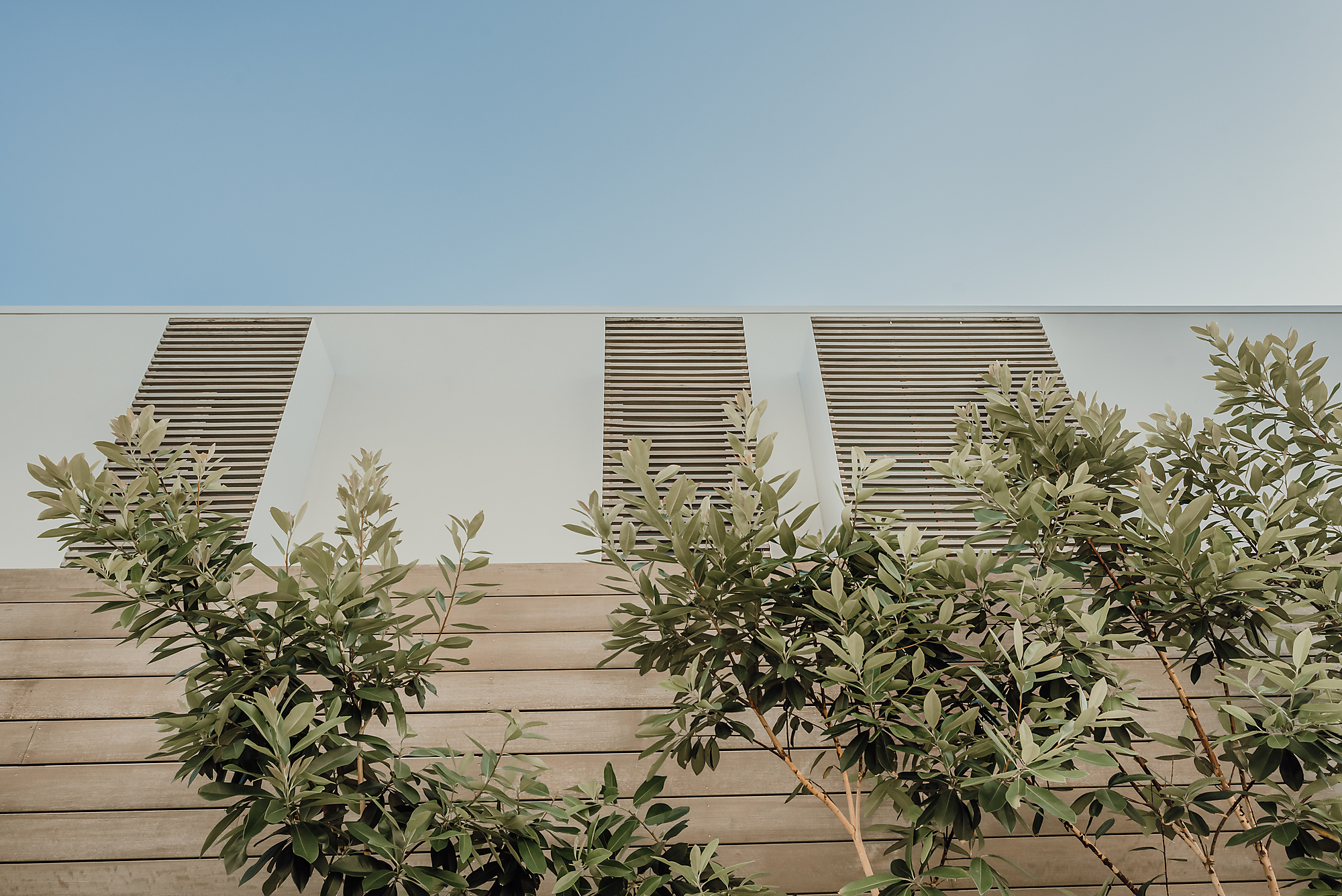 Interior photograph of Sunshine Beach House by Emma Bourne